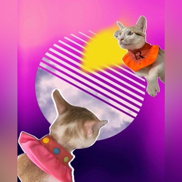 [Pets scarf] Can change size use colorful buttons. - Picture 2 of 2